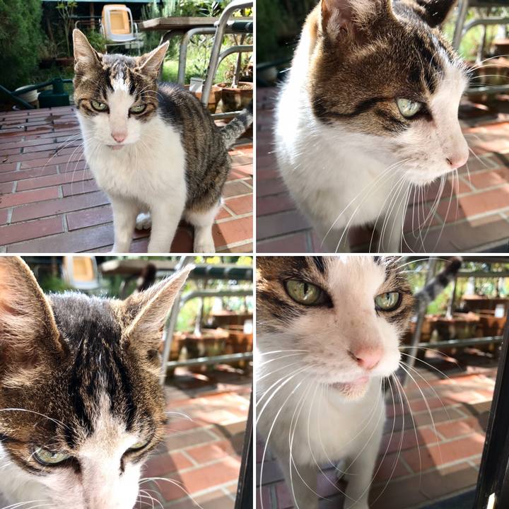 6925e8c3 73d4 46a2 b520 acf21a30dae5 1570682741601