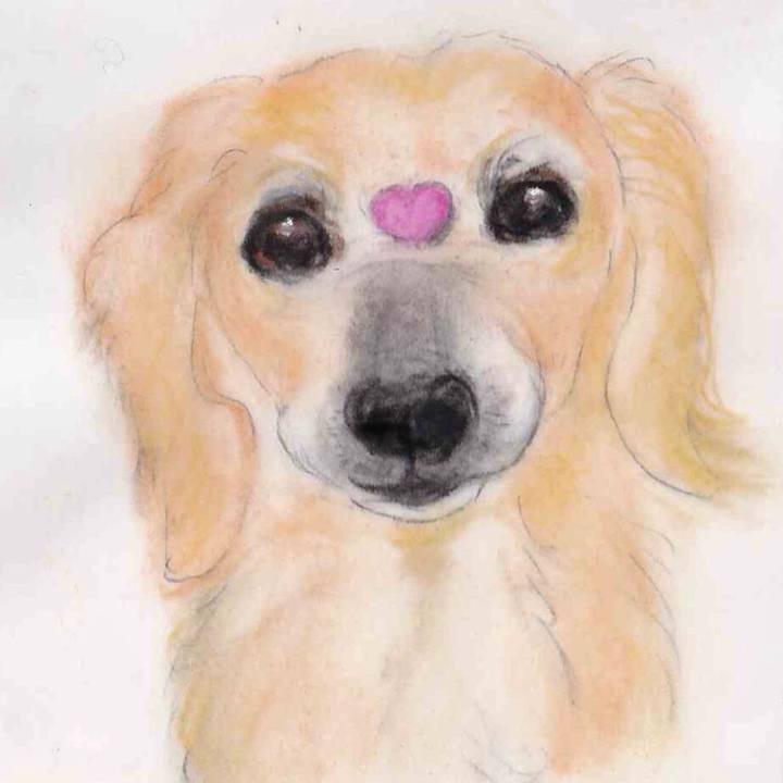 69262db1 d105 4469 828e c89716740e71 1644192478739