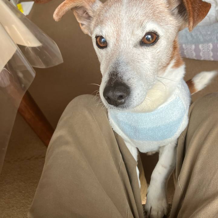 69262e11 384d 4759 9db1 f962fc9e4546 1774570231743