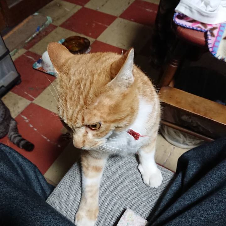 692646e6 c84b 47c2 bd51 6bad893473a7 1575488627182