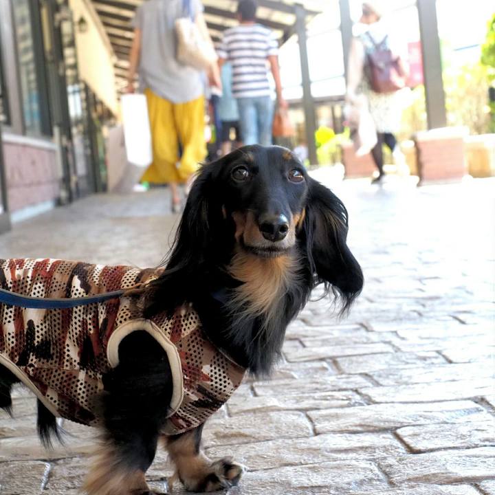 69264775 f19a 43ec 8af7 f1f087b20aa6 1529821937854