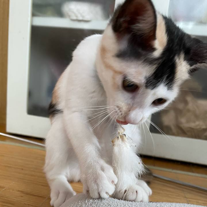 69264a92 b4e4 42f5 b5d1 9e52ee2303ed 1660699021285