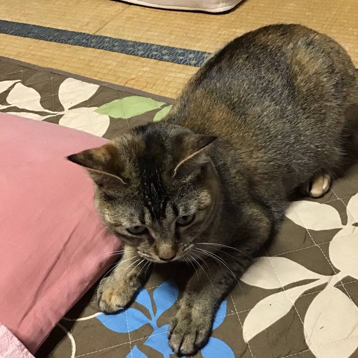 692679cc 681d 4947 957b f35cab81309f 1586745266379