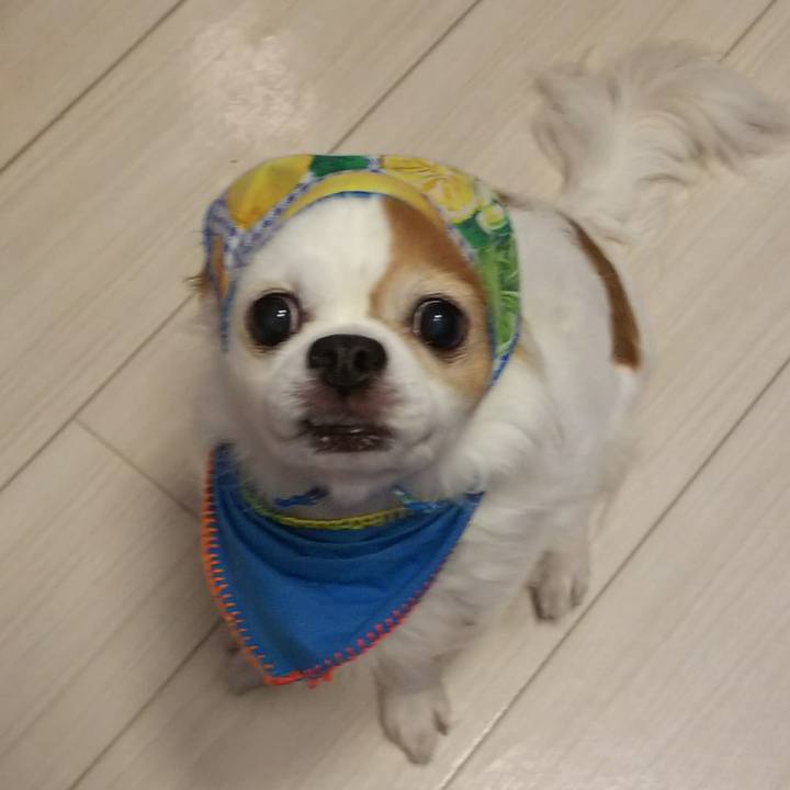 6926aa36 e907 4836 ad66 0899a138596e 1531388602404