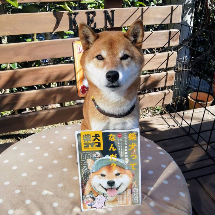 6926c660 e85b 45a2 b068 3db1cb4a9dbe 1613451202562