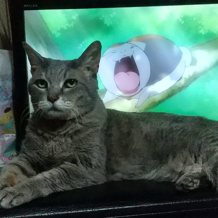 69270557 7a5a 4961 a516 cc1056694599 1695205814299