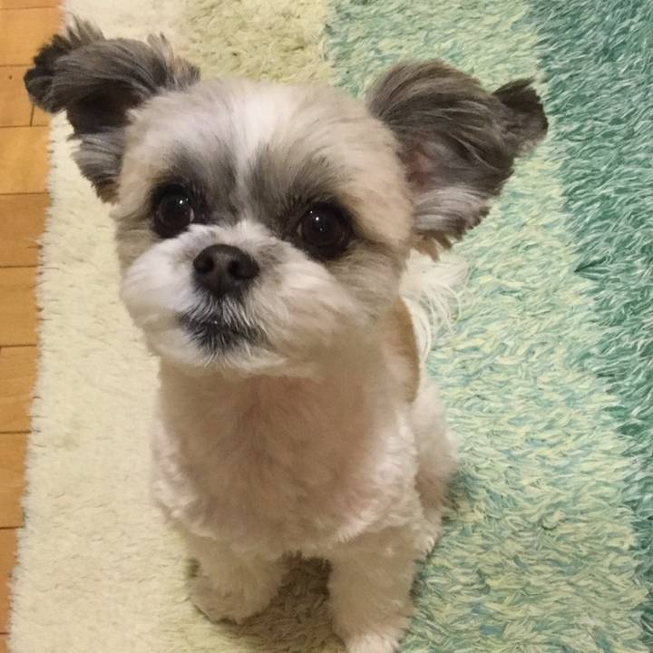 69271125 fd97 4778 a84c 427d33bf0fa4 1547958097119