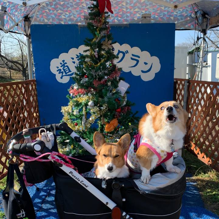 69275097 7647 4f7f ae46 5b49b6ef9aad 1606799192510