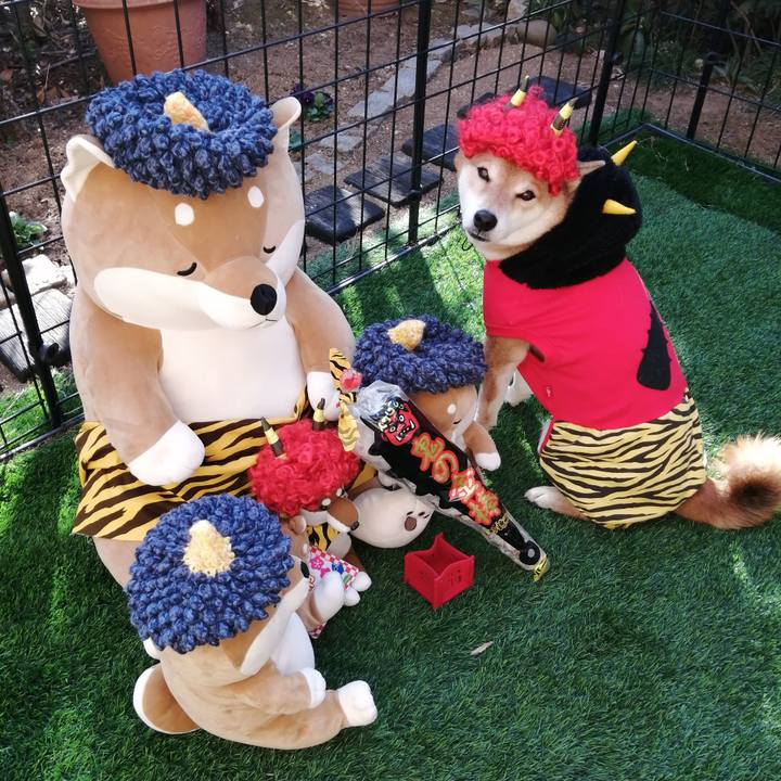 692780ea 9fab 410e b375 6821f013ecac 1643851970978