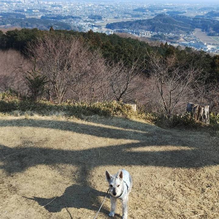 6927873b 8091 43dd aae0 40f53c6a9373 1774357633118