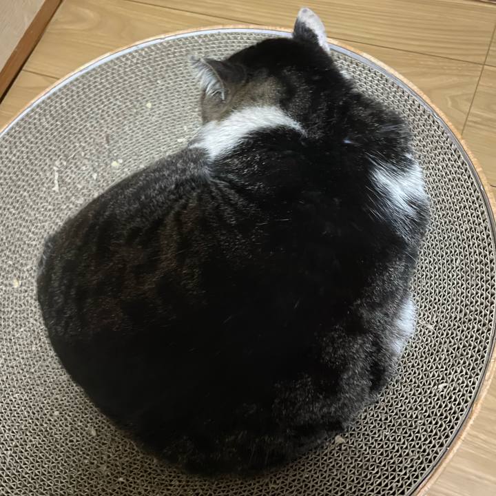 69278d41 1239 4021 a43d 6c8114a9eade 1653217284114