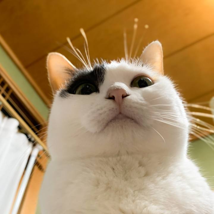 6927cfc9 341d 443c 8ab8 691400000303 1579570702825