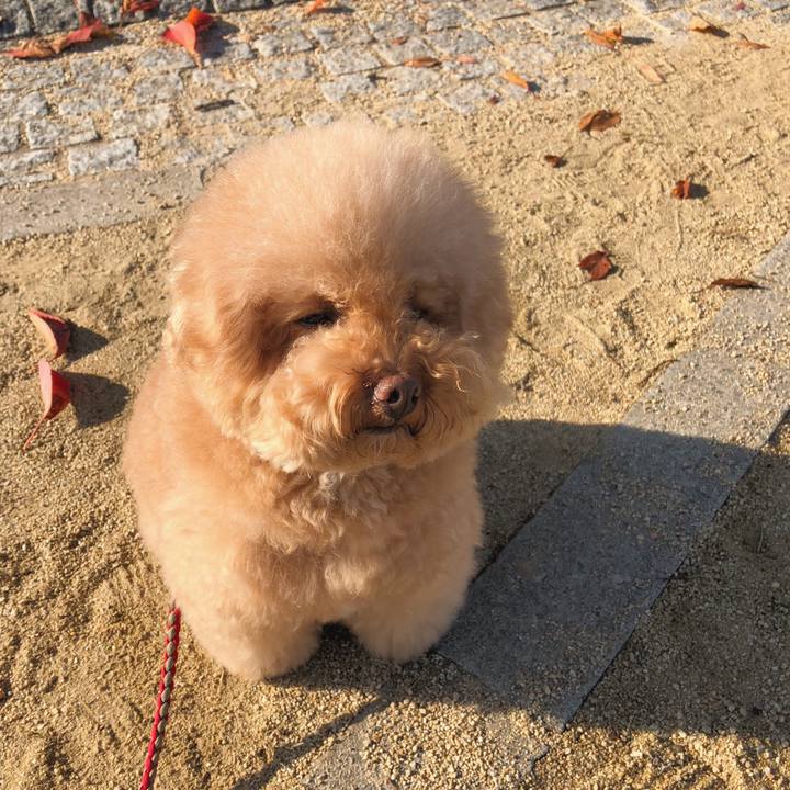 6927ed06 04fa 472d bf60 8e1a593a22ee 1509583303447