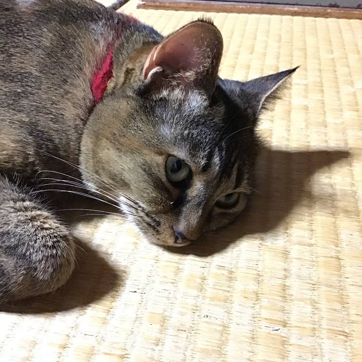 6927f148 7303 418b 995c ce679d5ccd81 1729931152032