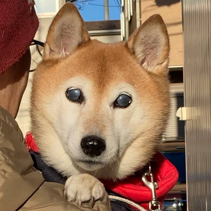 69280185 d77b 404f abae 8cc3beb9d0a4 1735692239388