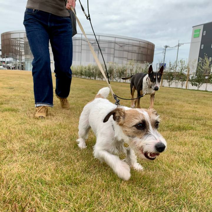 69282274 cdcc 43ad 9ceb b6db74343b5e 1605873784694