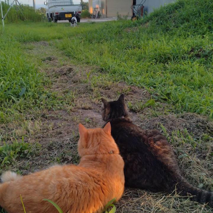 69283592 7829 4834 91af ce30a5ddf0ef 1690539922001