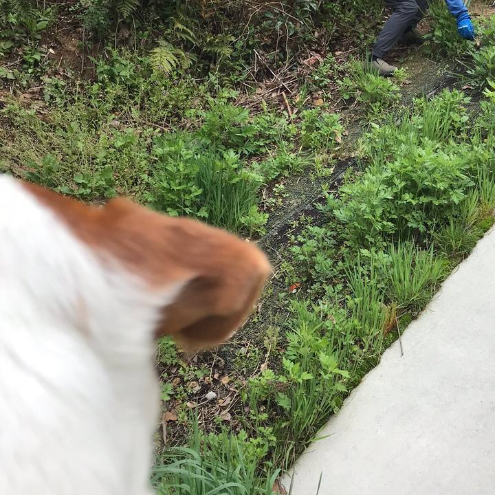 69285b94 ba43 42b2 8957 6891c190057a 1556420865434