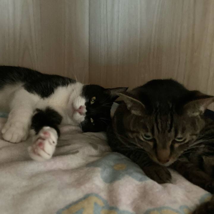 6928644b ffd7 4fc4 ac91 0e6ee62ccd02 1623727231145