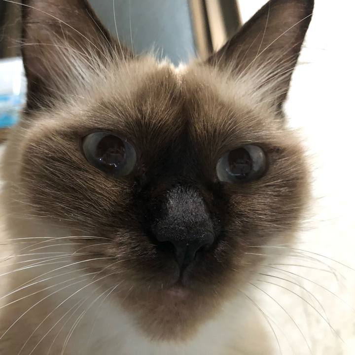 6928ad8d e357 41f2 ada7 77abde0a3363 1601304139505