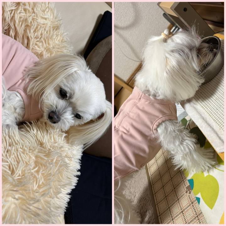 6928cbe9 4dd4 4416 9706 773f590d713e 1766227264536