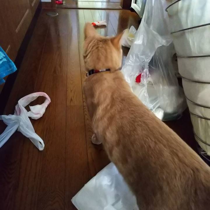 6928d2fc 7de0 4ee6 b48c 64bc8c072afe 1558064026567