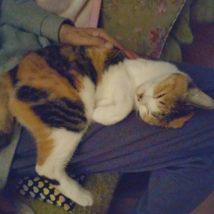 6928e341 4d5e 467e 86a5 5eb8daa562a6 1651932268277