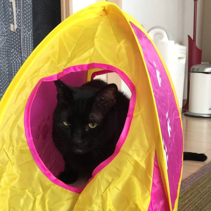 6928f75b 8215 485c aa85 1ba1caa919e5 1580650418809