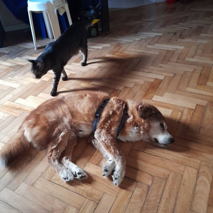 69290ab0 b264 4448 8753 0ff8fbd07ec6 1770989332606