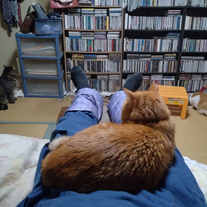 69292a5b 2ba0 46ec 92c3 872764363fcf 1739095425632