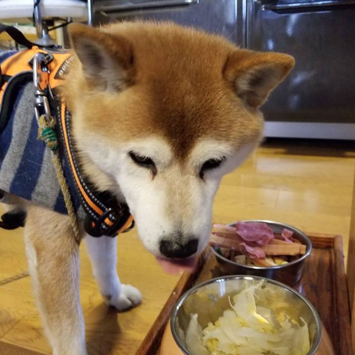 692933ed 0453 4c53 8681 3f05caad941a 1612847051248