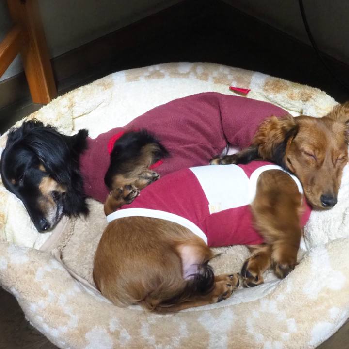 69295e96 04dd 4d01 9b4f 26a60f09932c 1703768114261