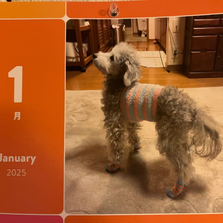 69296d13 63c5 4d91 a74f aebf81b4c5be 1736668436097