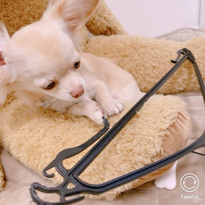 69297803 200c 43a4 8392 61eb7a244258 1605703195562