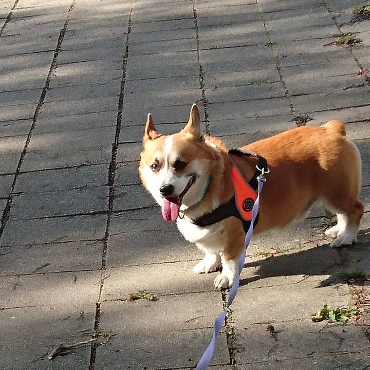 69299b10 24f5 452d b79c c16bac0ec54f 1673408155310