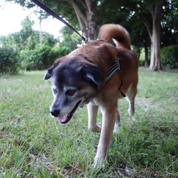 6929a129 e311 4a29 973e c5855ddc0d48 1526987951932