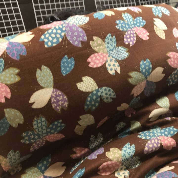 6929bc29 5529 4133 8ca8 357f6e642c6f 1583825854741