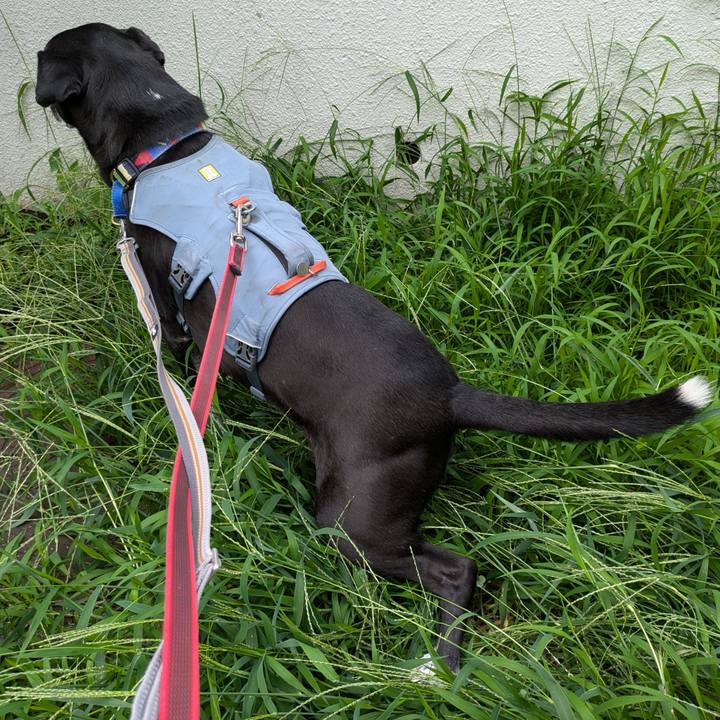 6929ea3b 6d2d 4151 9b7b 8a830c5c6b7d 1724196145087