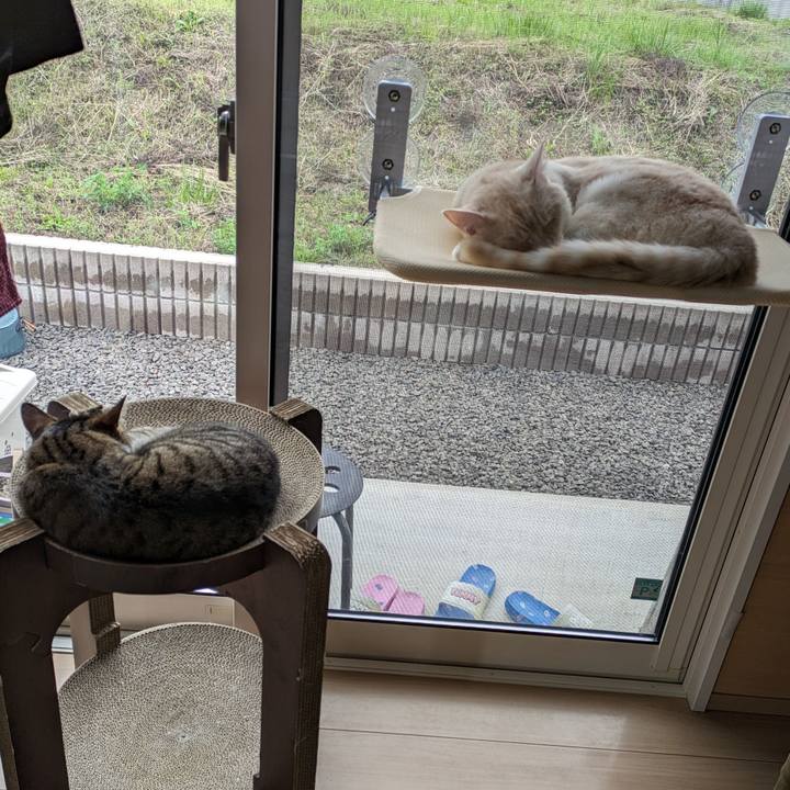 6929fbbc 4964 496a b4c5 97a7791f9d71 1686534967852