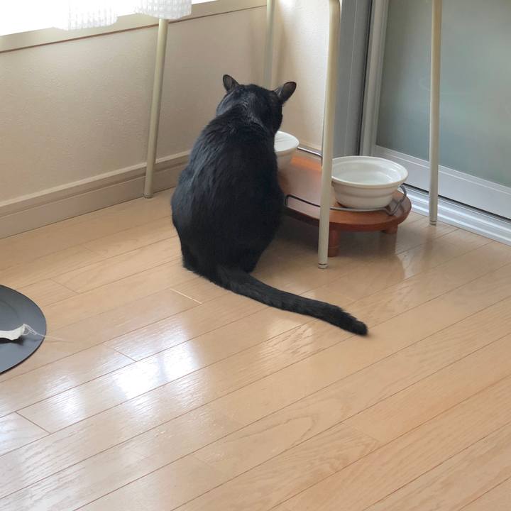 692a01e8 9850 45a5 992a a89624f4820a 1564478716743