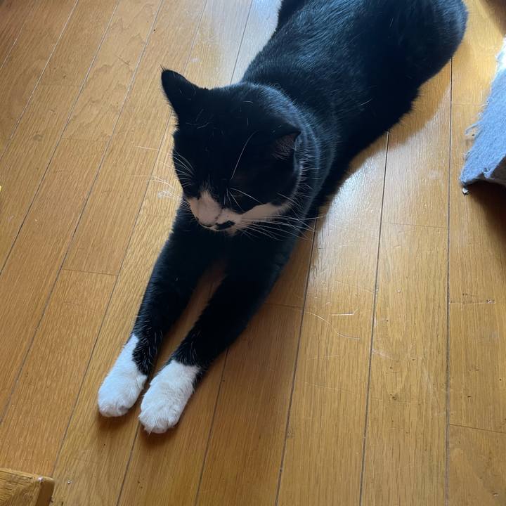 692a1be9 069e 438a a4c9 c3fa4933a7f4 1691713188690