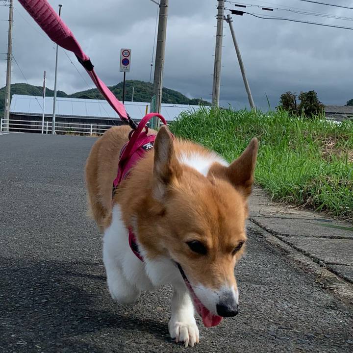 692a6e15 2b68 41fd 8832 4480dda3162a 1724631889097