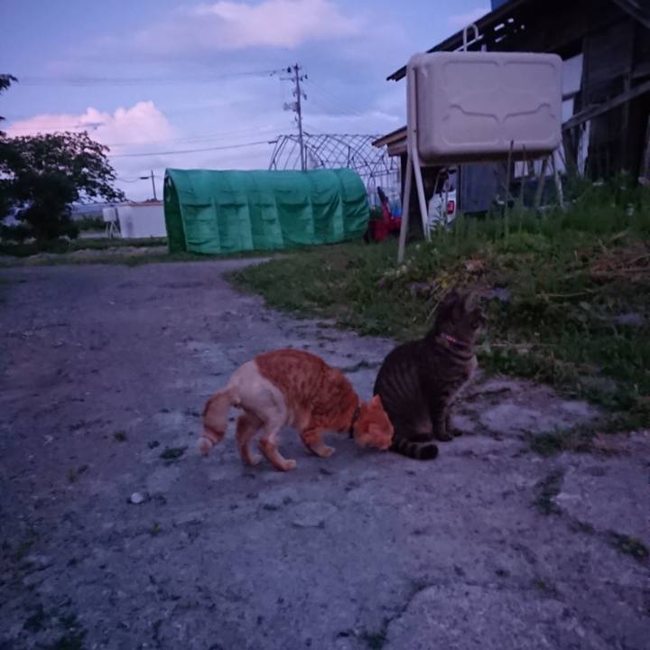 692a9363 61cf 44e1 89f7 30e7ad42a162 1654253274588