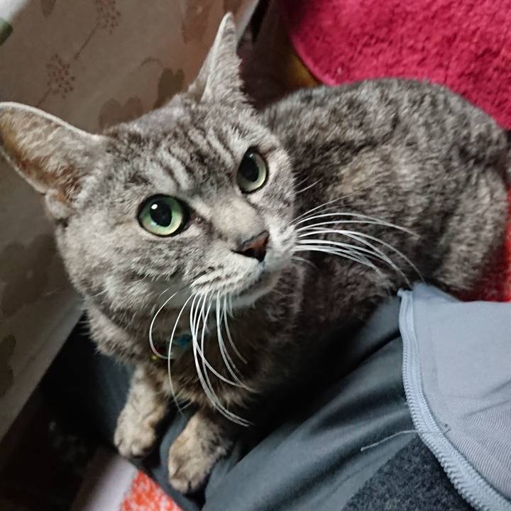 692a9fab e12e 483f 813a cf5c09064445 1552427367170