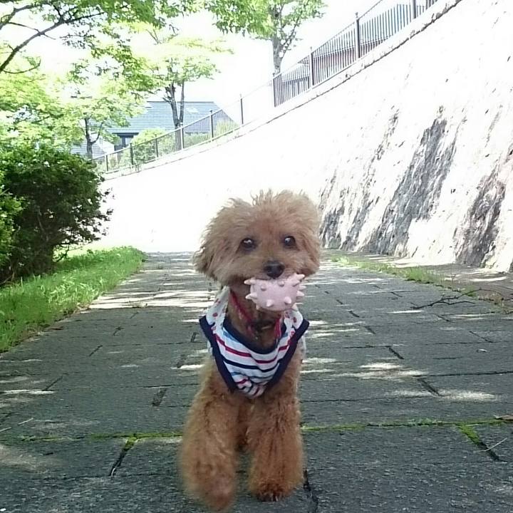 692a9fc6 e537 4756 986e 892ef3d12a0e 1531193821827