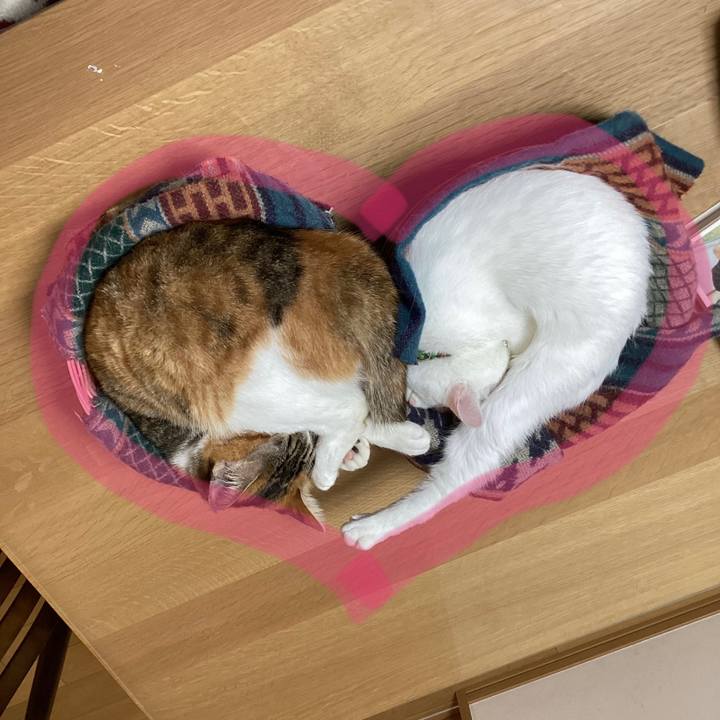 692aa1ac 3cb2 4305 850a ebccf099a150 1654850384217