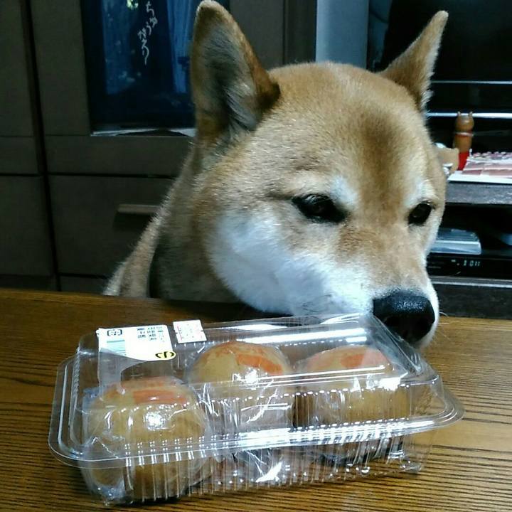 692aac56 3fad 4b0a 93be f0e1aa56c340 1556784829046