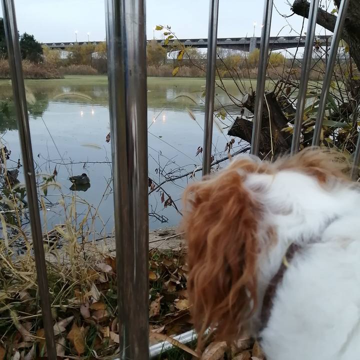 692ac89f 1cf1 4c39 81a5 dfdaeeff5338 1576968923545