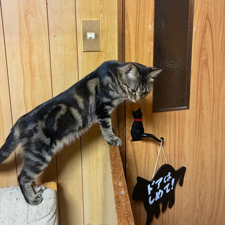 692ad55c d07c 43d7 ba87 0057cf5f6bf2 1755550260530