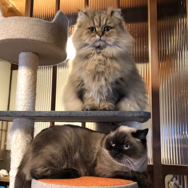 692ada68 c70b 466e 90f0 466a53e99e40 1608523303844